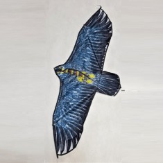 Zmeu cu model de vultur, cu sfoara de 120 cm foto
