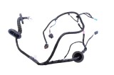 Cablaj ușă st&acirc;nga spate TESLA MODEL 3 2023 OEM: 2067965-00-B 24983612