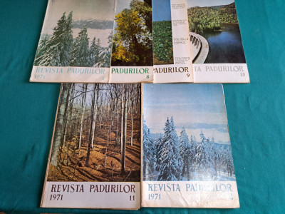 LOT 6 REVISTA PĂDURILOR / NR.1, 8,9,10,11,12*1971* foto