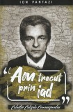 Am Trecut Prin Iad - Ion Pantazi , Ion Pantazi - Editura Paul Editions