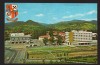 CPIB 22252 - CARTE POSTALA - BAIA MARE, STEMA, Circulata, Fotografie