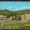 CPIB 22252 - CARTE POSTALA - BAIA MARE, STEMA