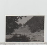 bnk foto Cabana Curmatura - anii `60