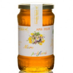 Miere Poliflora Apis Felix Complex Apicol 450gr