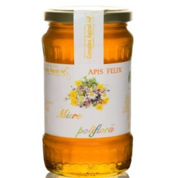 Miere Poliflora Apis Felix Complex Apicol 450gr foto