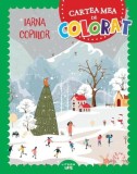 Cumpara ieftin Iarna copiilor. Cartea mea de colorat