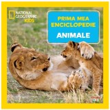 Animale. Prima mea enciclopedie. National Geographic, Litera