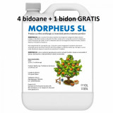 Pachet promotional Produs cu efect antifungic si insecticid pentru pomi si arbusti fructiferi (fara continut de ulei mineral) Morpheus SL 10 litri Sem