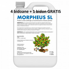 Pachet promotional Produs cu efect antifungic si insecticid pentru pomi si arbusti fructiferi (fara continut de ulei mineral) Morpheus SL 10 litri Sem