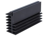 Radiator Aluminiu Negru 100mm x 30mm x 52mm