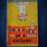 BUCATE ALESE DE PRIN TARA CULESE - BAGY BECSEK