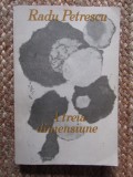 Radu Petrescu - A treia dimensiune