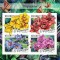 MOZAMBIC 2016 - Flori, orhidee /set complet colita + bloc MNH
