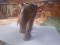 Statuie elefant - 4