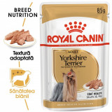 Cumpara ieftin Royal Canin Yorkshire Terrier Adult (pate), 1 plic x 85 g