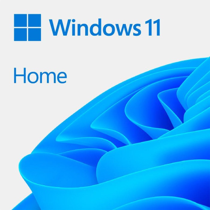Lic oem win 11 home 64bit ro