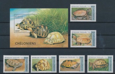TOGO 1996 FAUNA TESTOASE foto