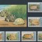 TOGO 1996 FAUNA TESTOASE