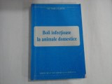 BOLI INFECTIOASE LA ANIMALE DOMESTICE - VICTORIA MARTIN