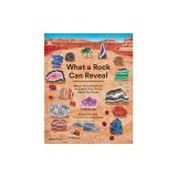 What a Rock Can Reveal: Where They Come from and What They Tell Us about Our Planet