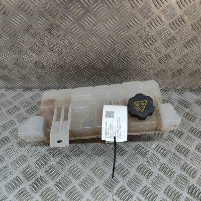 Vas de expansiune TESLA MODEL X 2017 OEM: 1036124-00-O 25805261 foto