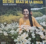 Disc Vinil Irina Loghin - Cei Trei Brazi De La Sinaia - Electrecord Cat. STM-EPE 01005