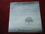 disc vinil Genesis - Wind and wuthering
