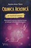 Cumpara ieftin Cronica Akashică pe &icirc;nțelesul tuturor - 2018 - Sandra Anne Taylor (@L63)