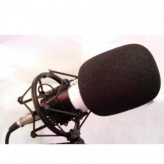 Microfon pentru inregistrari profesionale in studio DL-700 PROMO foto