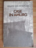 Eduard von Keyserling - Case in amurg