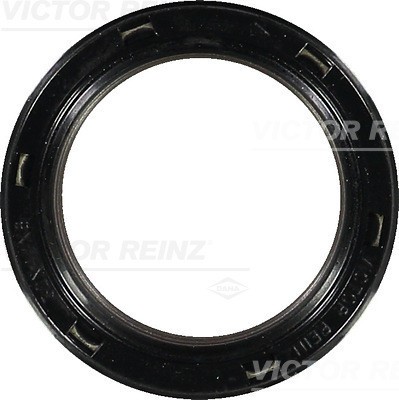 VICTOR REINZ 81-34461-00 Simering, arbore cotit foto