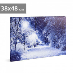 Tablou cu Iluminare LED, Peisaj de Iarna Alee Inzapezita, Baterii 2xAA, 38x48cm foto