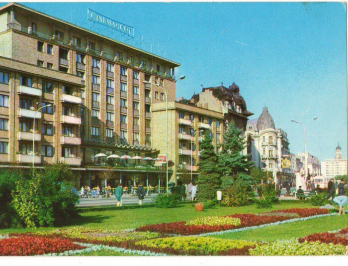 CPI B 11358 CARTE POSTALA - PLOIESTI. PIATA &quot;16 FEBRUARIE&quot;