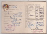Bnk ins GMA - Gata pentru Munca si Aparare insigna + brevet, Romania de la 1950