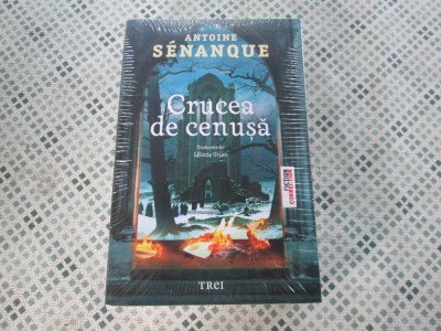 Antoine Senanque - Crucea de cenusa foto