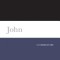 John: A Commentary