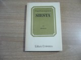 Paul Georgescu - Siesta