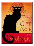 Cumpara ieftin Magnet - Chat Noir | Cartexpo