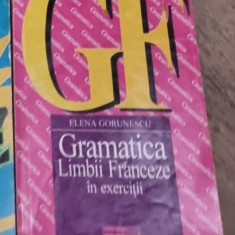 Elena Gorunescu - Gramatica Limbii Franceze in Exercitii