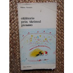 CALATORIE PRIN TARAMUL PICASSO-HELENE PARMELIN