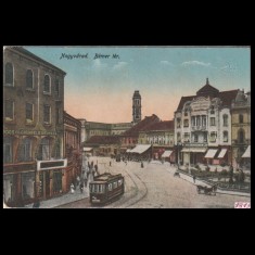 Carte poștală veche Oradea &ndash; Piata B&eacute;mer (cu Primaria in Spate) &ndash; 1915