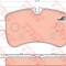 Set placute frana,frana disc IVECO DAILY IV autobasculanta (2006 - 2011) TRW GDB1748