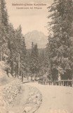 1918 Ilustrata turistica SKV Drum de tara langa Tulghes (Carpatii Transilvaniei), Editor Josef Drotleff (Sibiu)