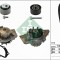 INA 530 0440 30 Set pompa apa + curea dintata