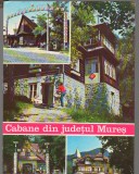 CPIB 17220 CARTE POSTALA - CABANE DIN JUDETUL MURES