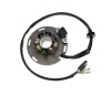 Stator Suzuki RM 125 92- 95, 250 94- 95 ESC462, Electrosport