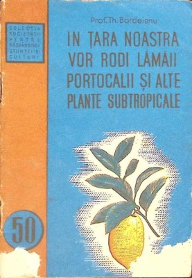 IN TARA NOASTRA VOR RODI LAMAII, PORTOCALII SI ALTE PLANTE SUBTROPICALE-TH. BORDEIANU-266576 foto