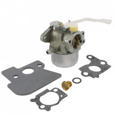 Carburator Briggs&amp;amp;Stratton 694203 foto