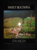 Ion Miclea - Dulce Bucovina. Album (1977, editie in limba engleza)