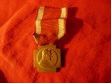 Medalie Bene Merenti - Papa Pius X 1903 , bronz , in cutie, Europa
